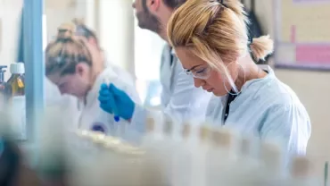 Scientists working in a laboratory with focus and precision.